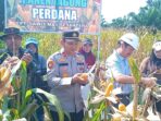 IMG-20250606-WA0033