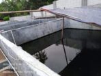 IMG-20250717-WA0153