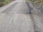 IMG-20250802-WA0093