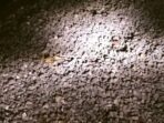 IMG-20251010-WA0092